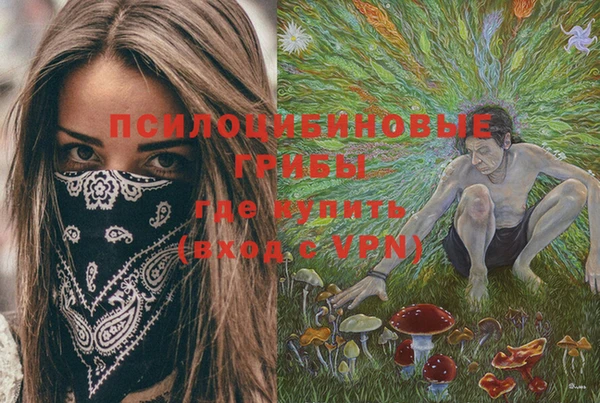ешки Новокубанск