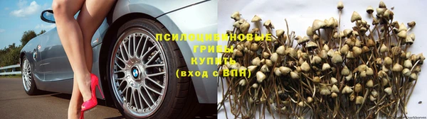 apvp Нязепетровск