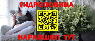 apvp Кинель
