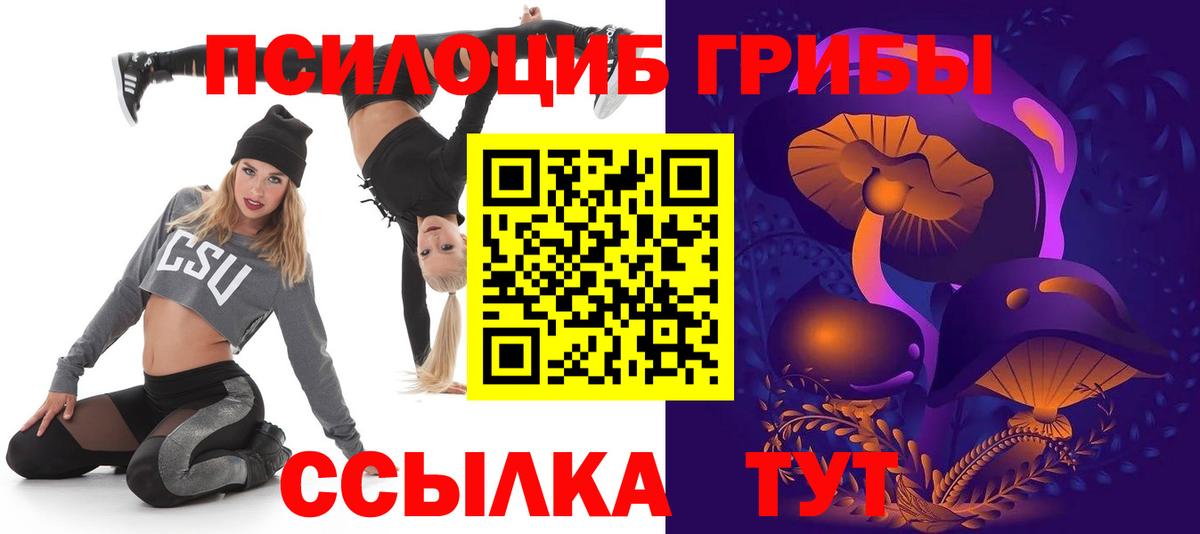 Новоалександровск  Галлюциногенные грибы прущие грибы  Вход с VPN  Псилоцибиновые грибы Psilocybe 